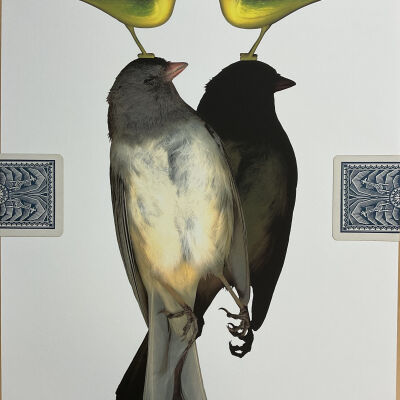Little Birds