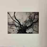 Other Places II
