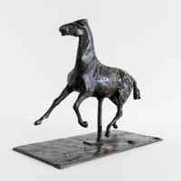 Cheval au Trot, Les Pieds ne Touchent Pas le Sol (Horse Turning, Feet Not Touching the Ground)