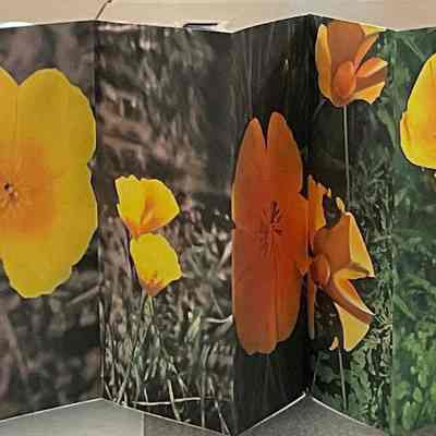 Women Artists folder image