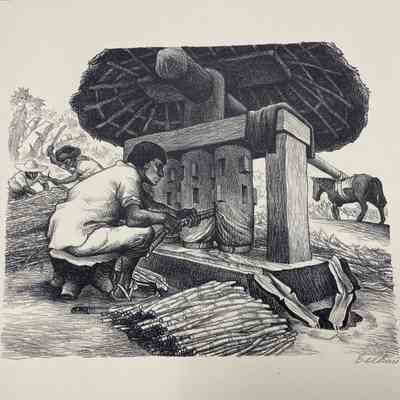 El Trapiche de Azúcar, Puebla (Grinding Sugar Cane)