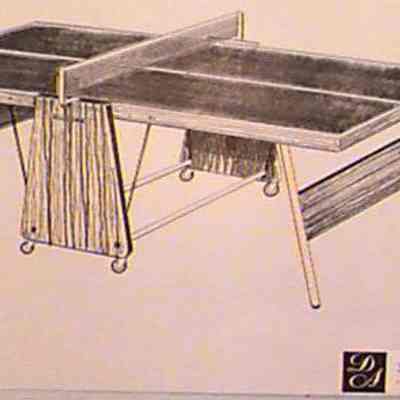 Ping pong table