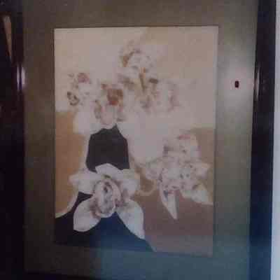 Orchid II