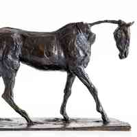 Cheval de Pur Sang Marchant au Pas (Thoroughbred Horse: Walking)