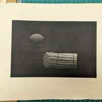 Asuparagasu アスパラガス (Asparagus)