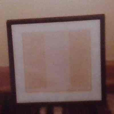 PMS 243 Cut