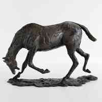 Cheval Faisant une "Descente de Main" (Horse with Head Lowered)