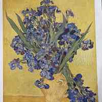 Irises Reproduction