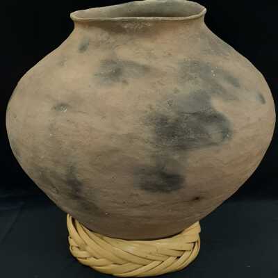 Pot