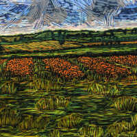 Poppy Field