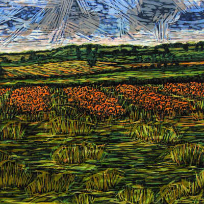 Poppy Field