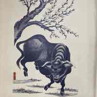 Bull (Reproduction)