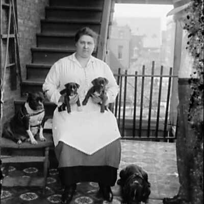 Woman with Four French Bulldogs