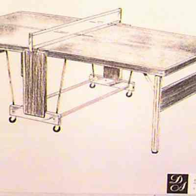 Ping pong table