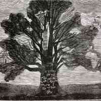 Hidden Picture: Old Oak Tree