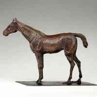 Cheval Arrêté (Horse Standing)