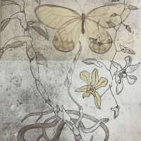 All That Crawls, Flies, Swims, Walks or is Motionless