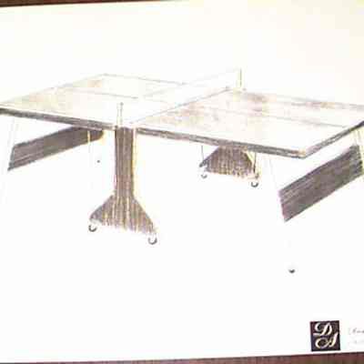 Ping pong table