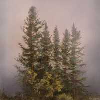 Out of the Mist