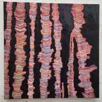 Birch Bark