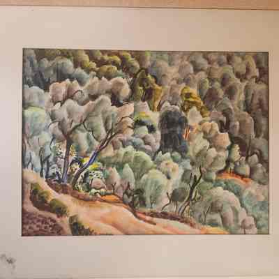 Landscape