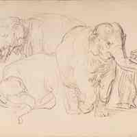 Elephants from the Albertina Facsimile