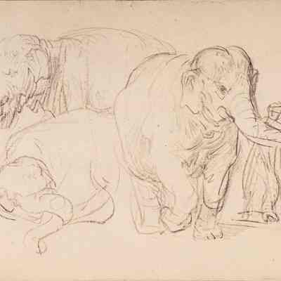 Elephants from the Albertina Facsimile