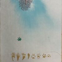 Calling the Earth to Witness