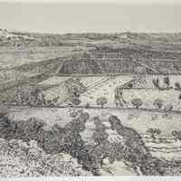 Facsimile of La Crau Seen from Montmajour