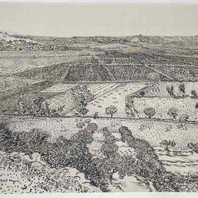 La Crau Seen from Montmajour
