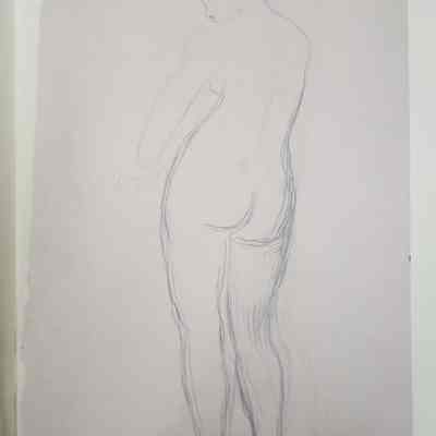 Female nude