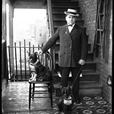 Man with Two French Bulldogs
