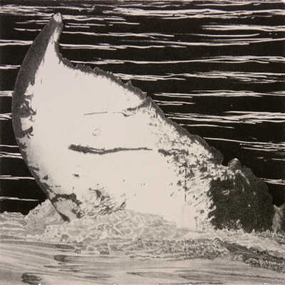 Whaleparts: Flukes