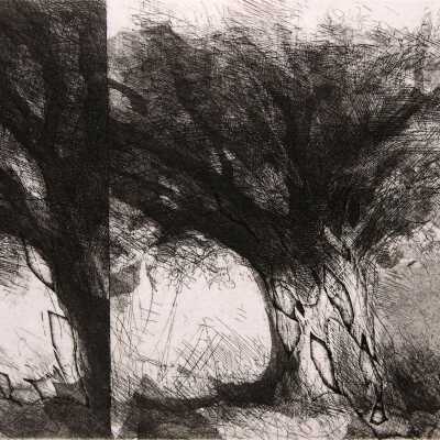 August Tree