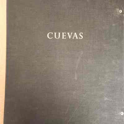 Cuevas Recollections of Childhood Portfolio