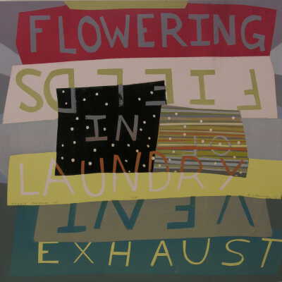 Flowering Fields In Laundry
