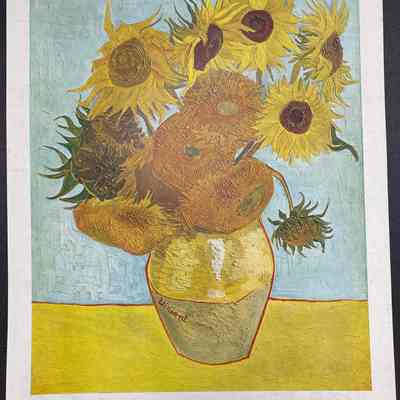 Sun Flowers