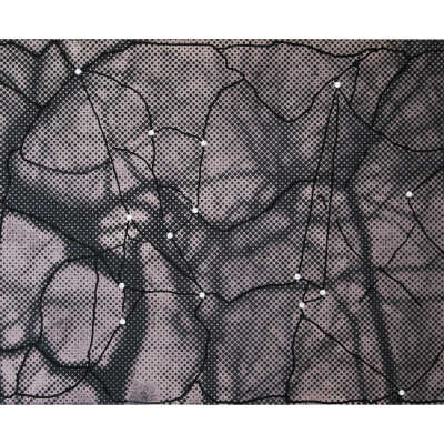 Canopy III