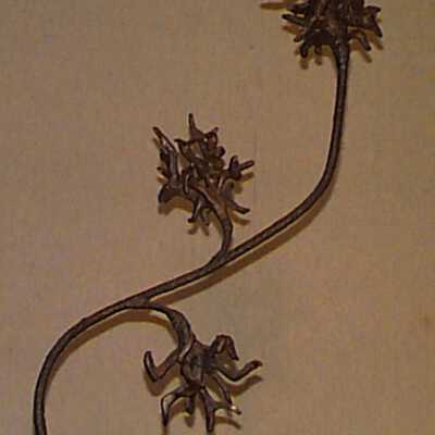 Branch