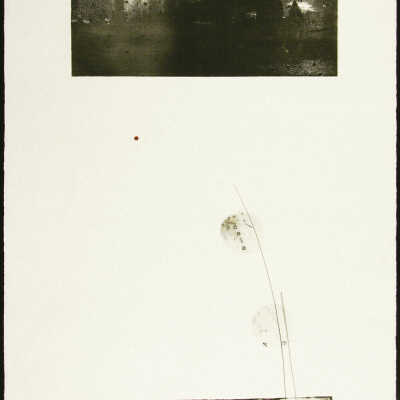 Landscape II
