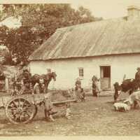 Irish Farmyard
