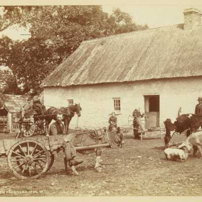 Irish Farmyard