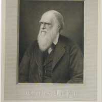 Charles Darwin