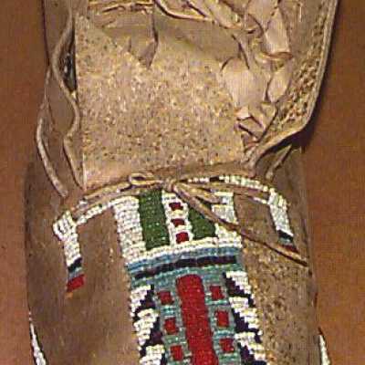Moccasin
