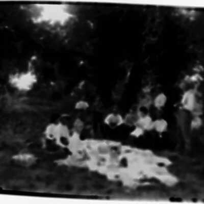 Family Picnic