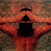 Continent: The Universe