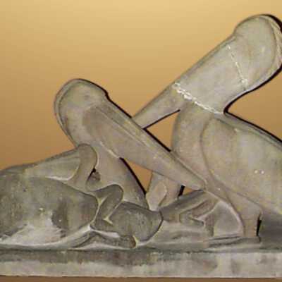 Pelicans