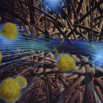 Mechanic Diatoms Series