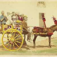 Gita in Campagna- Carretto