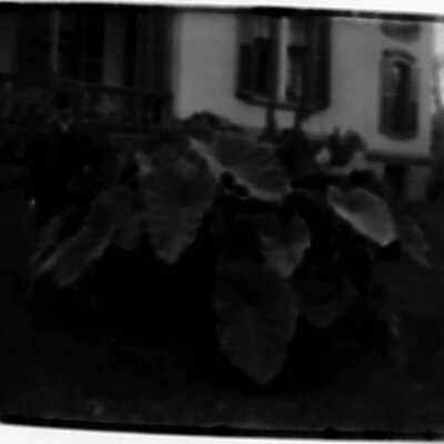 William Fowler and his plants